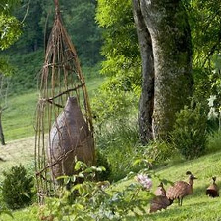 Bed and Breakfast Domaine de la Piale Fons  Exterior foto