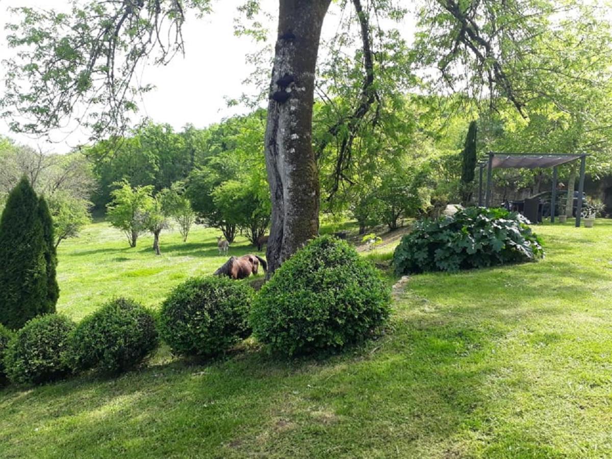 Bed and Breakfast Domaine de la Piale Fons  Exterior foto